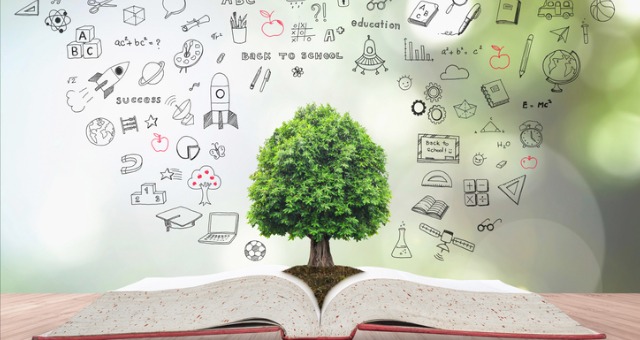 Teaching Philosophies: Your Teaching Soul in Document Form | Faculty Focus